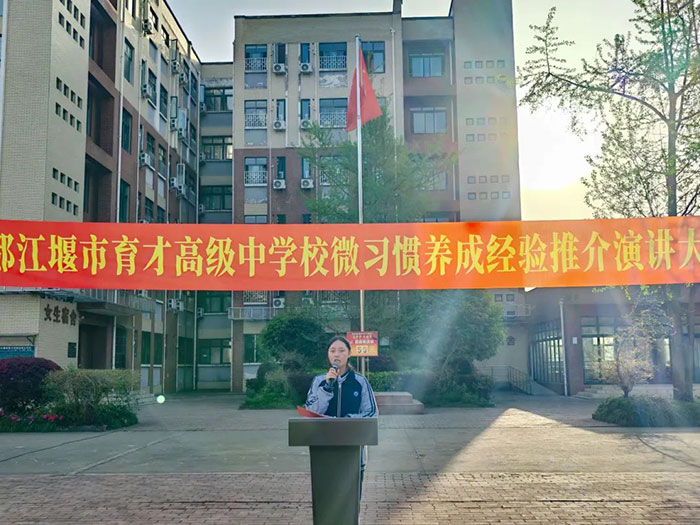 1744772665987019.jpg 10.jpg